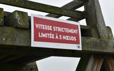 Les mouches ont changé d’âne ?