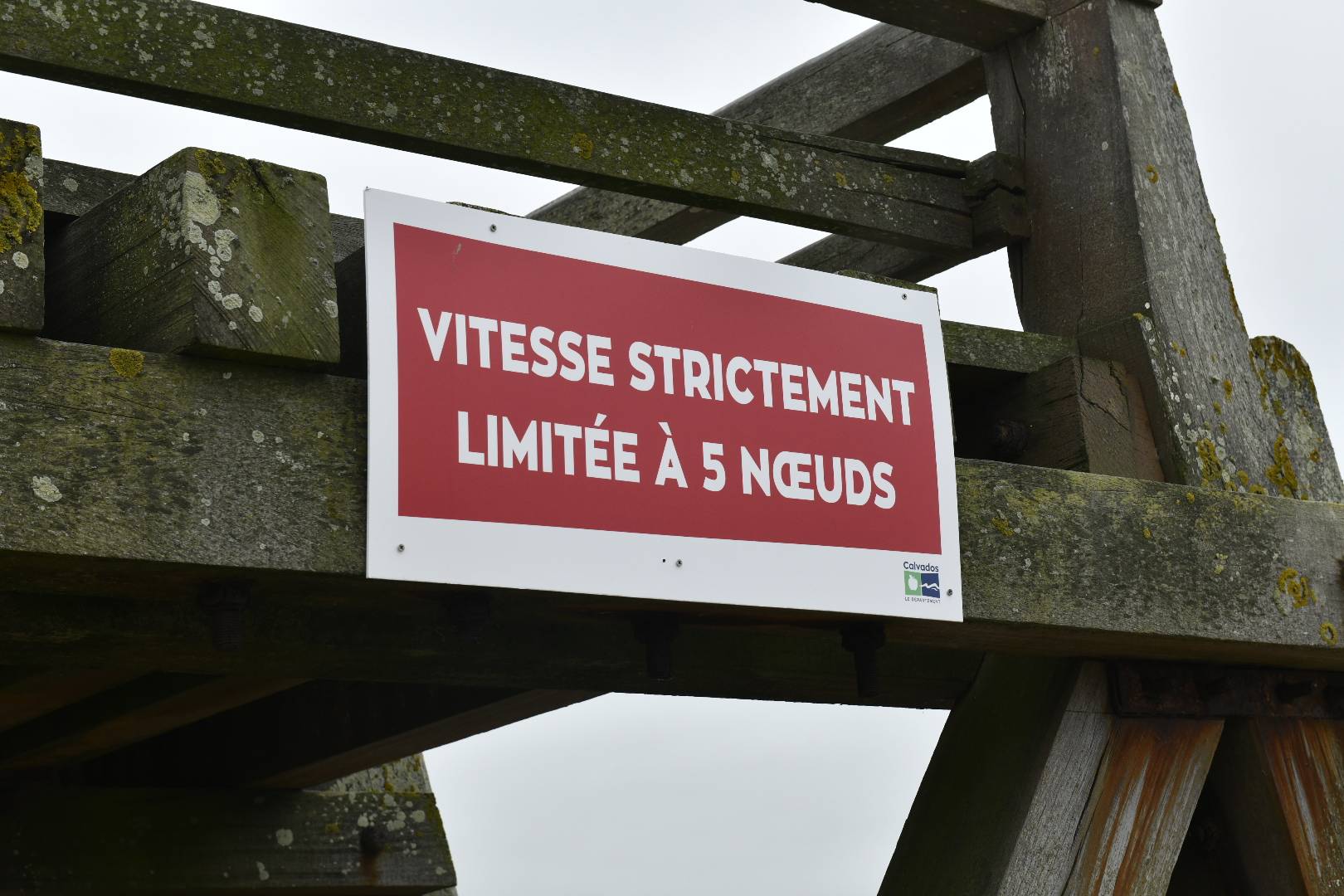 Cinq nœuds